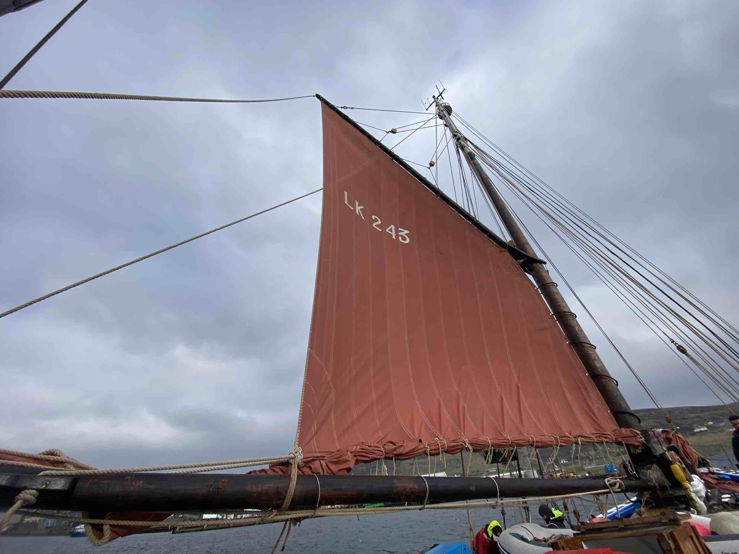 Swan LK243