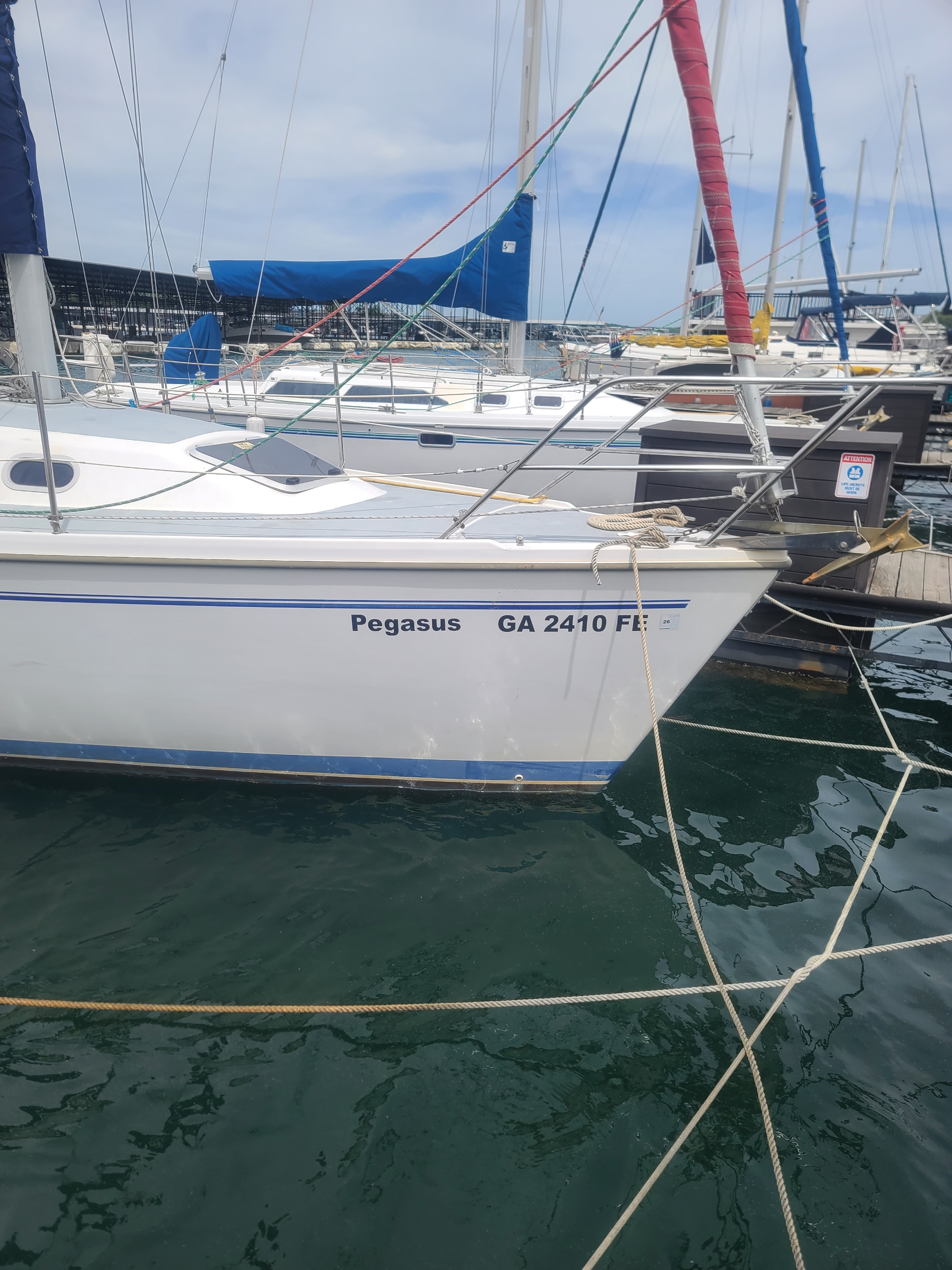 Pegasus