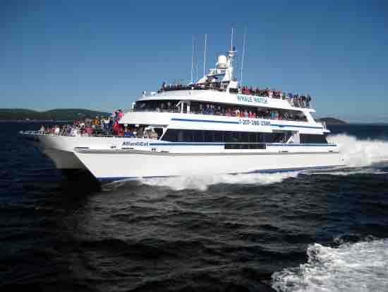 Atlanticat