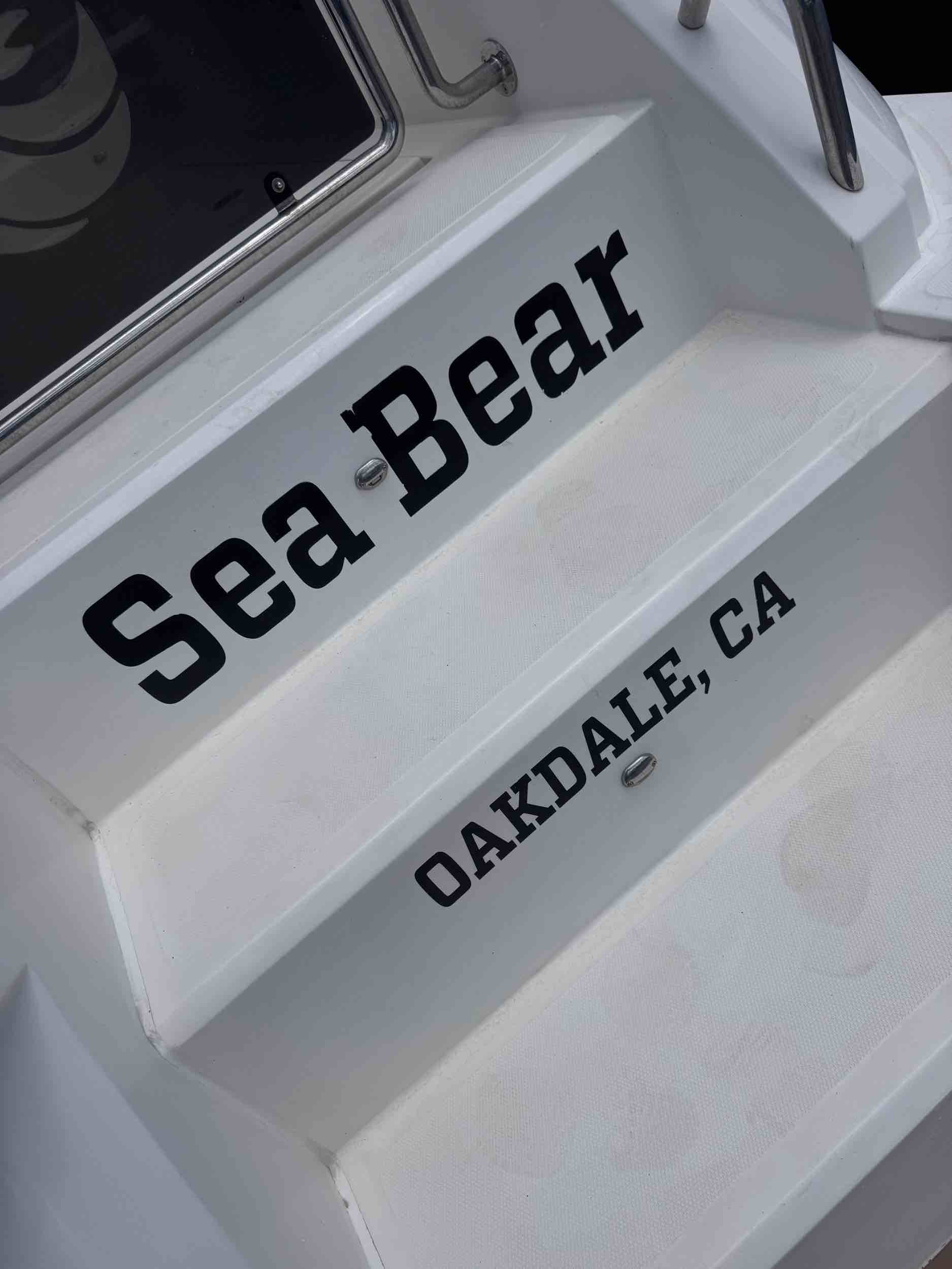 Sea Bear