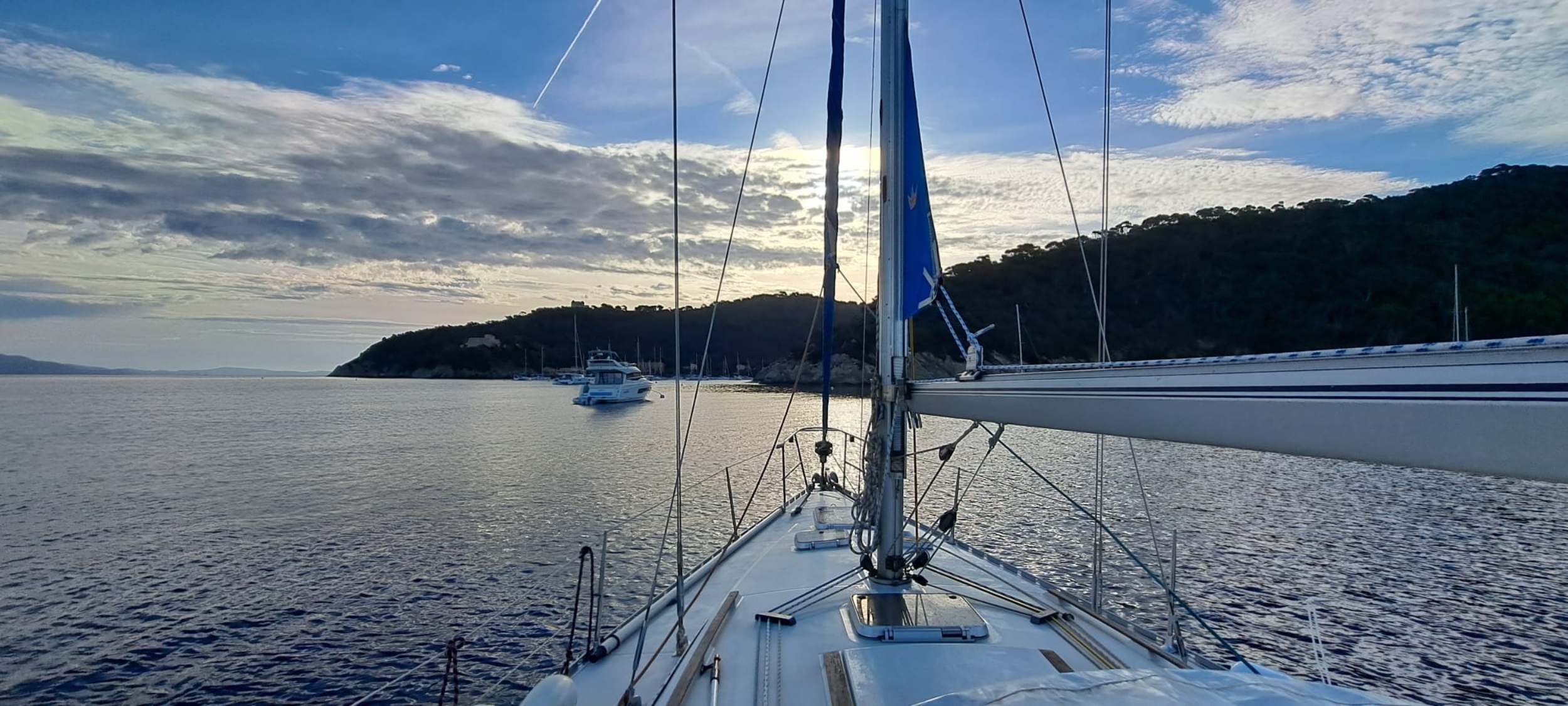 Ours bleu
