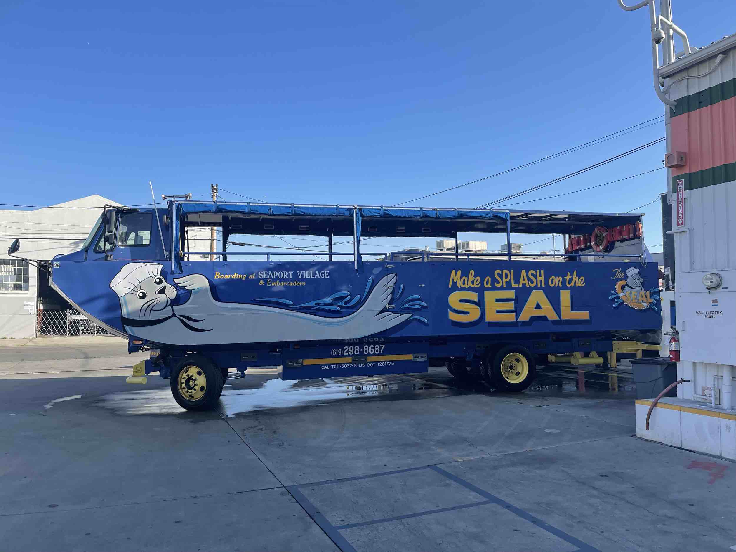 Seal, Harbor #586