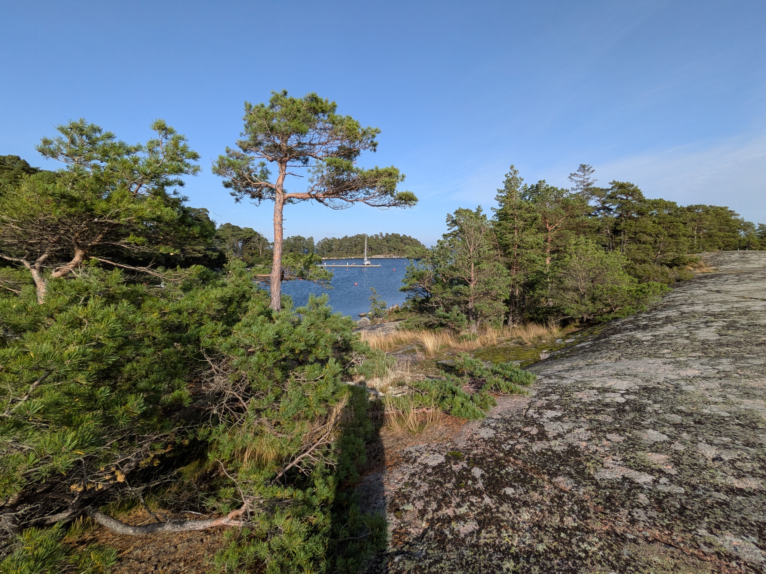Våga