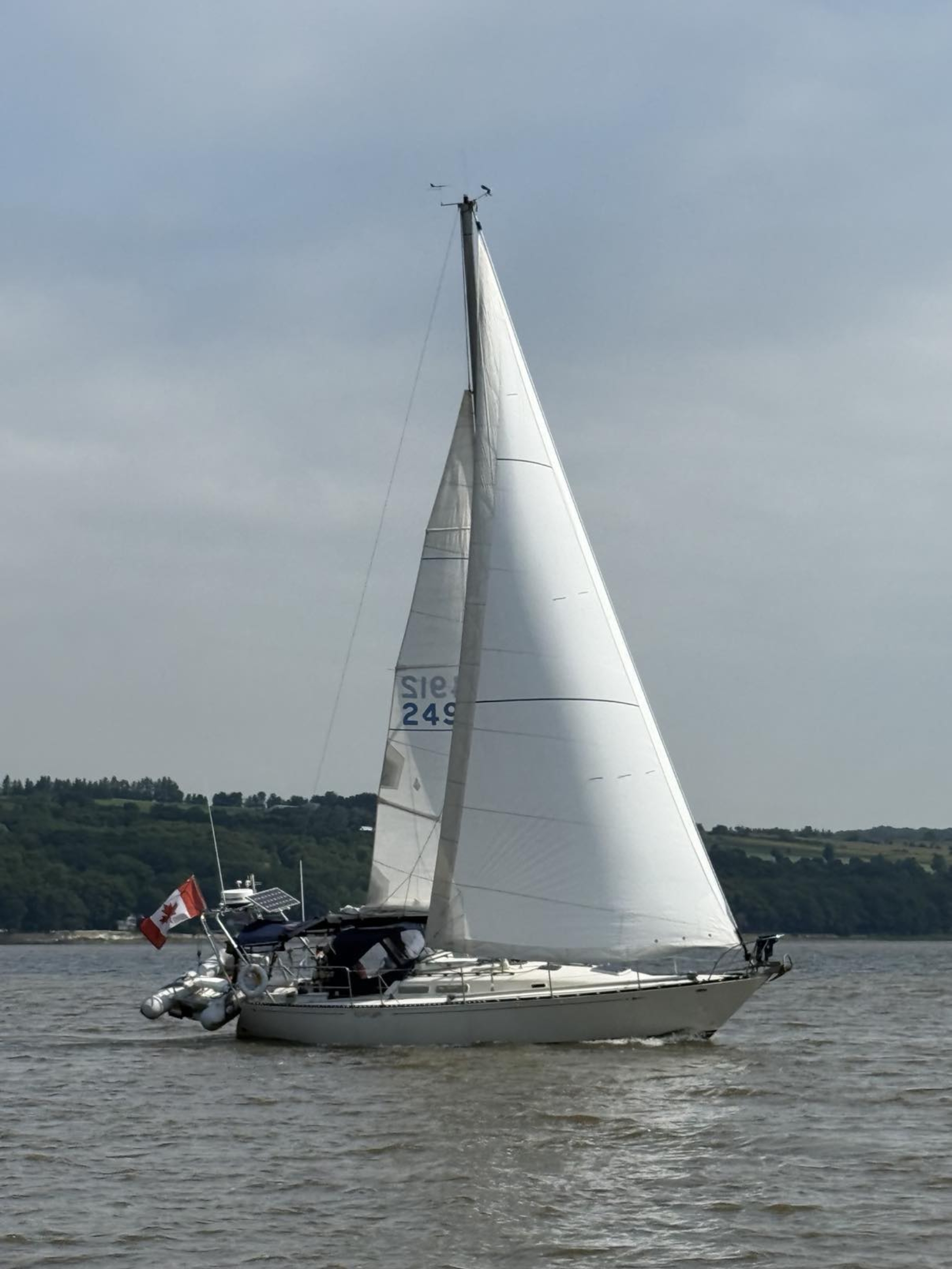 Roupillon