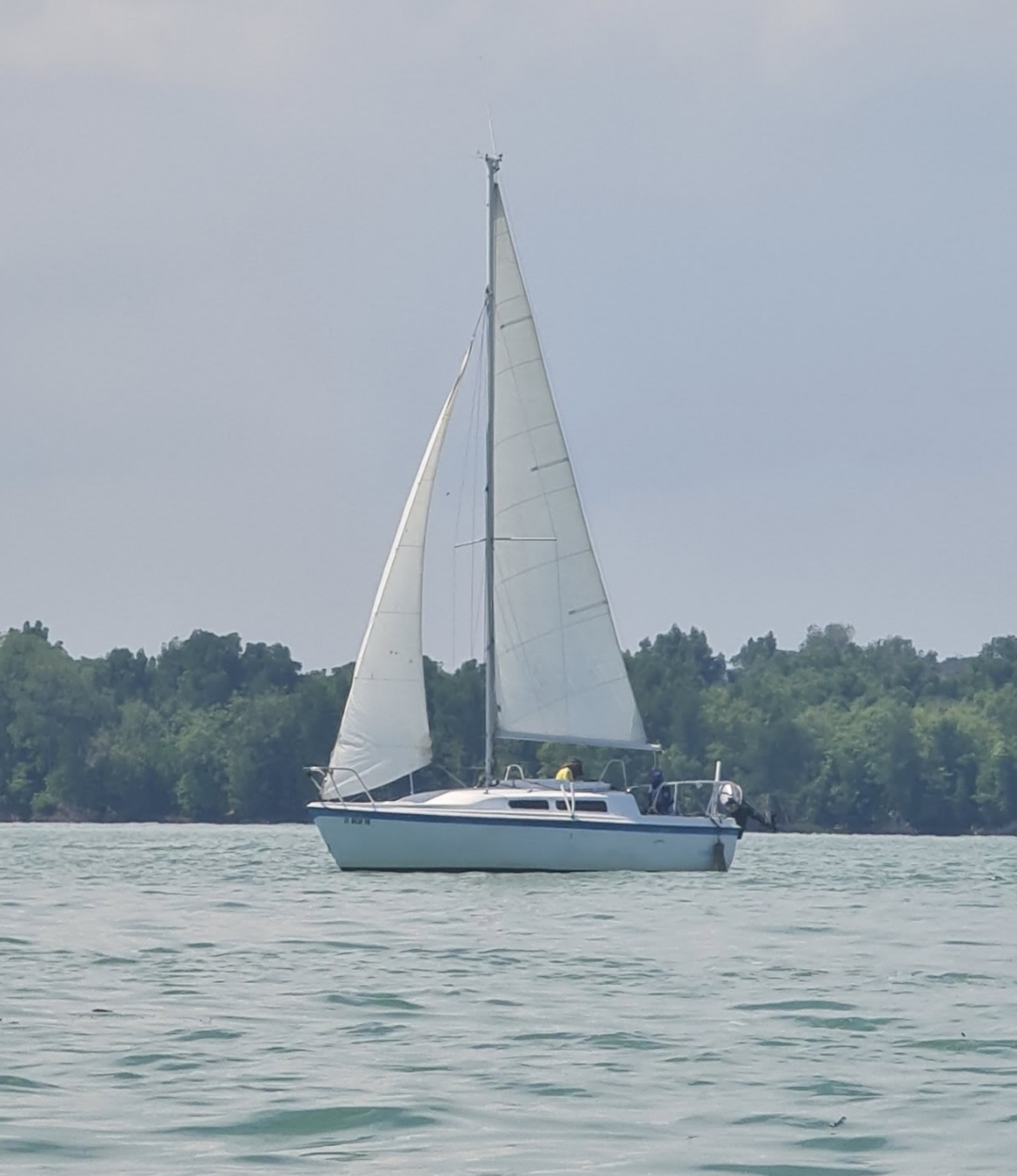 Macgregor 25