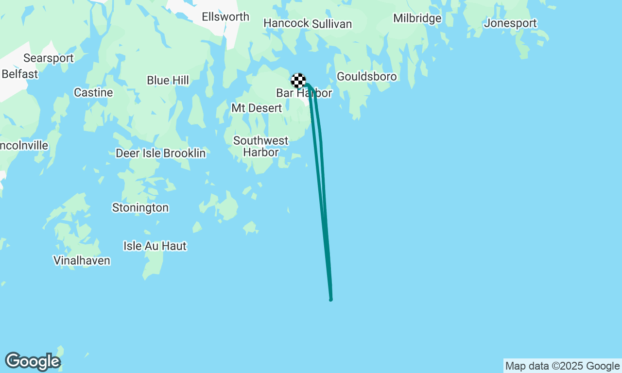 Whale watch