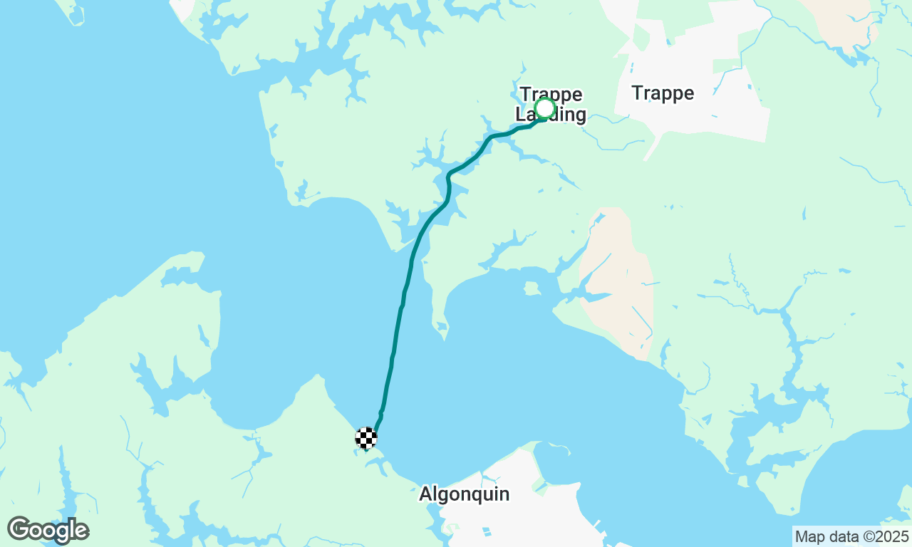 Motor + sail with 14knt trailing wind 