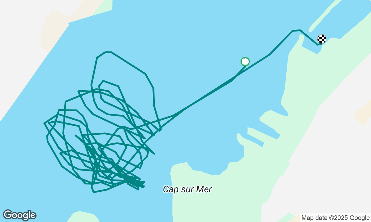 Sortie niveau 2 | Ohana Sailing