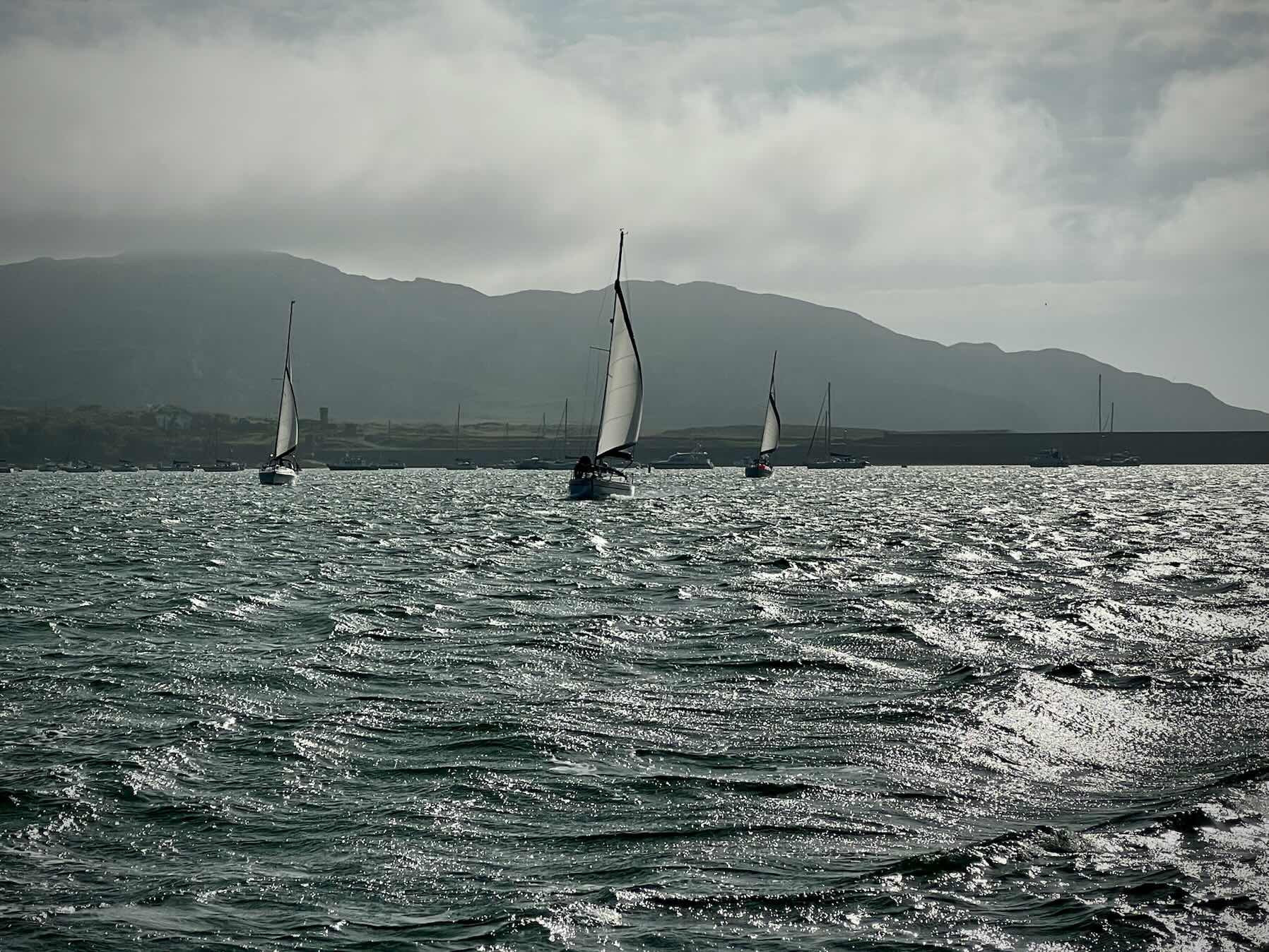 wednesday evening's race 2026-06-17_0B3064EC-0498-4EAE-9824-8627AE96470B