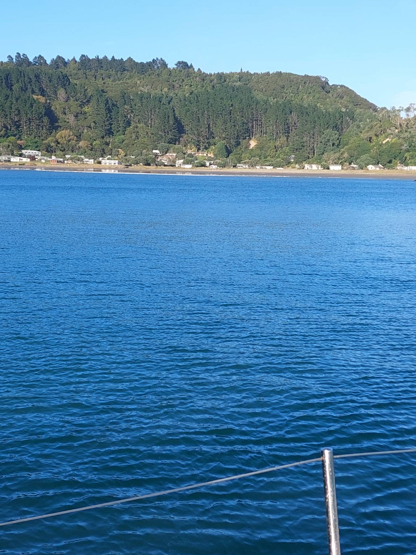 Whitianga to Hicks Bay_06433C2D-72CD-4D10-84A6-4948A0D3F2DD