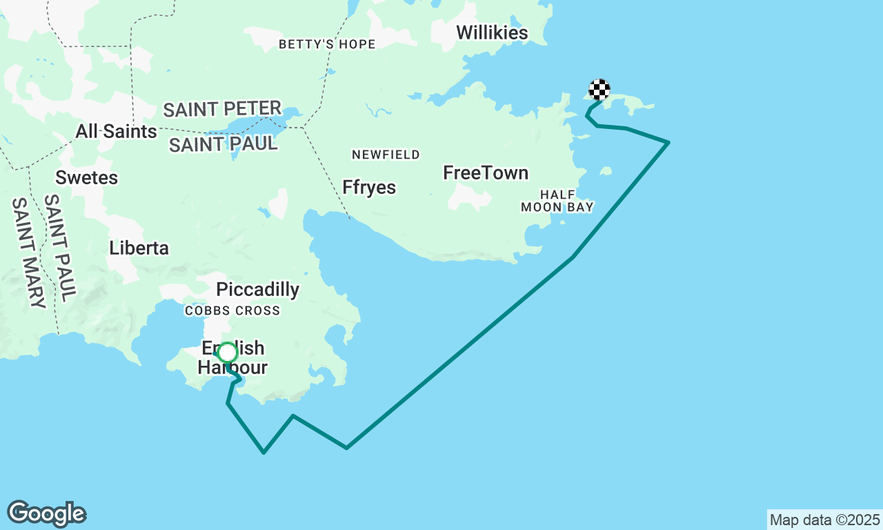 Cat experience builder: Day 1