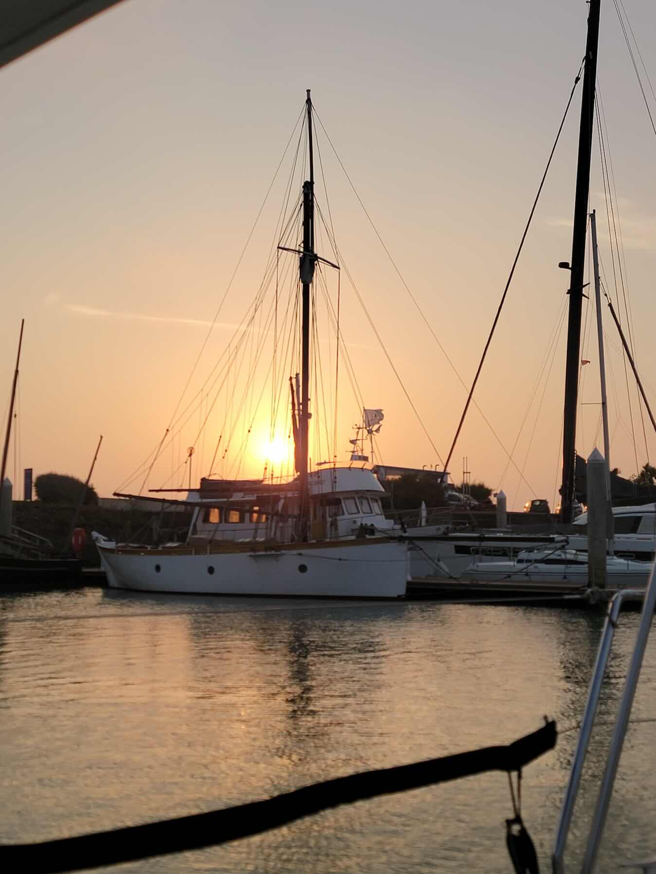 St Vaast vers Ouistream_5A4B99DF-D90E-4634-8D6F-EA4B0FAC79C7