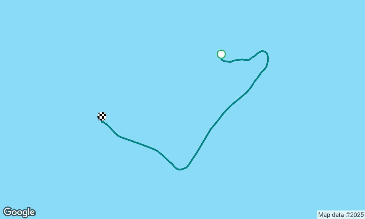 cockatoo reef