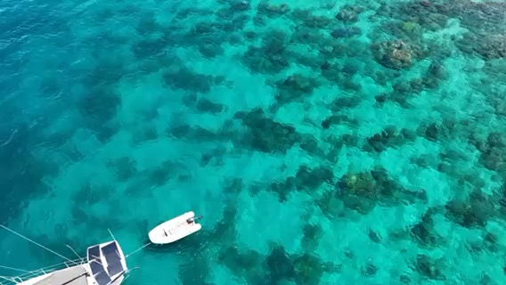 Musket Cove to Manta Ray Resort_464C6997-D294-401C-A502-DAE2263788A3