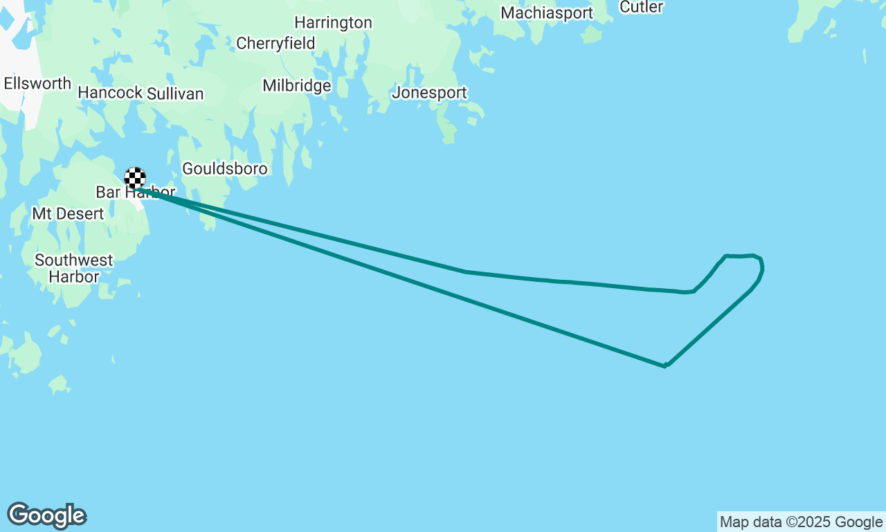 Whale watch