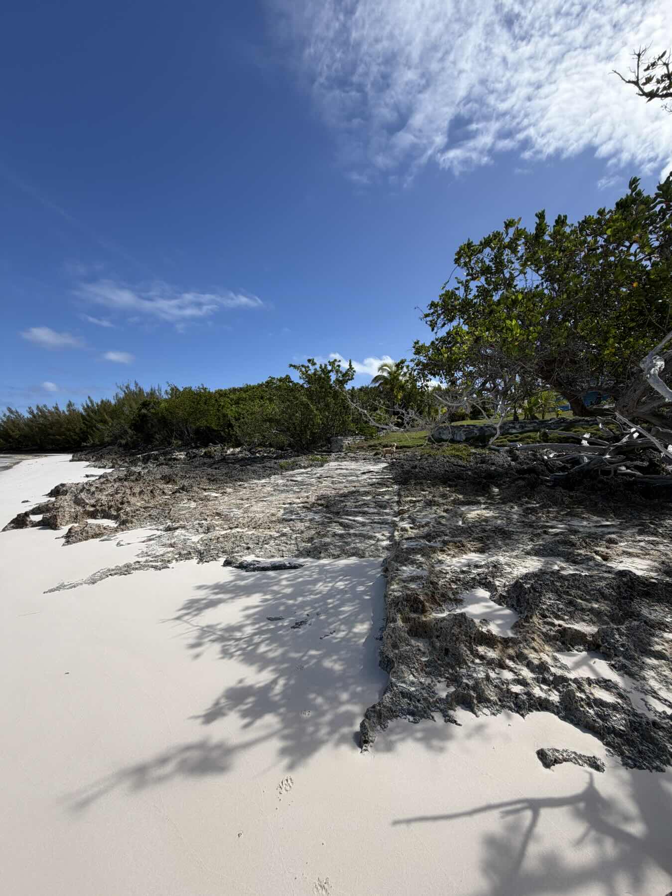 Scotland Cay sail down to Tilloo_CCA223CC-502F-44C1-AA35-2C751D24F9F4