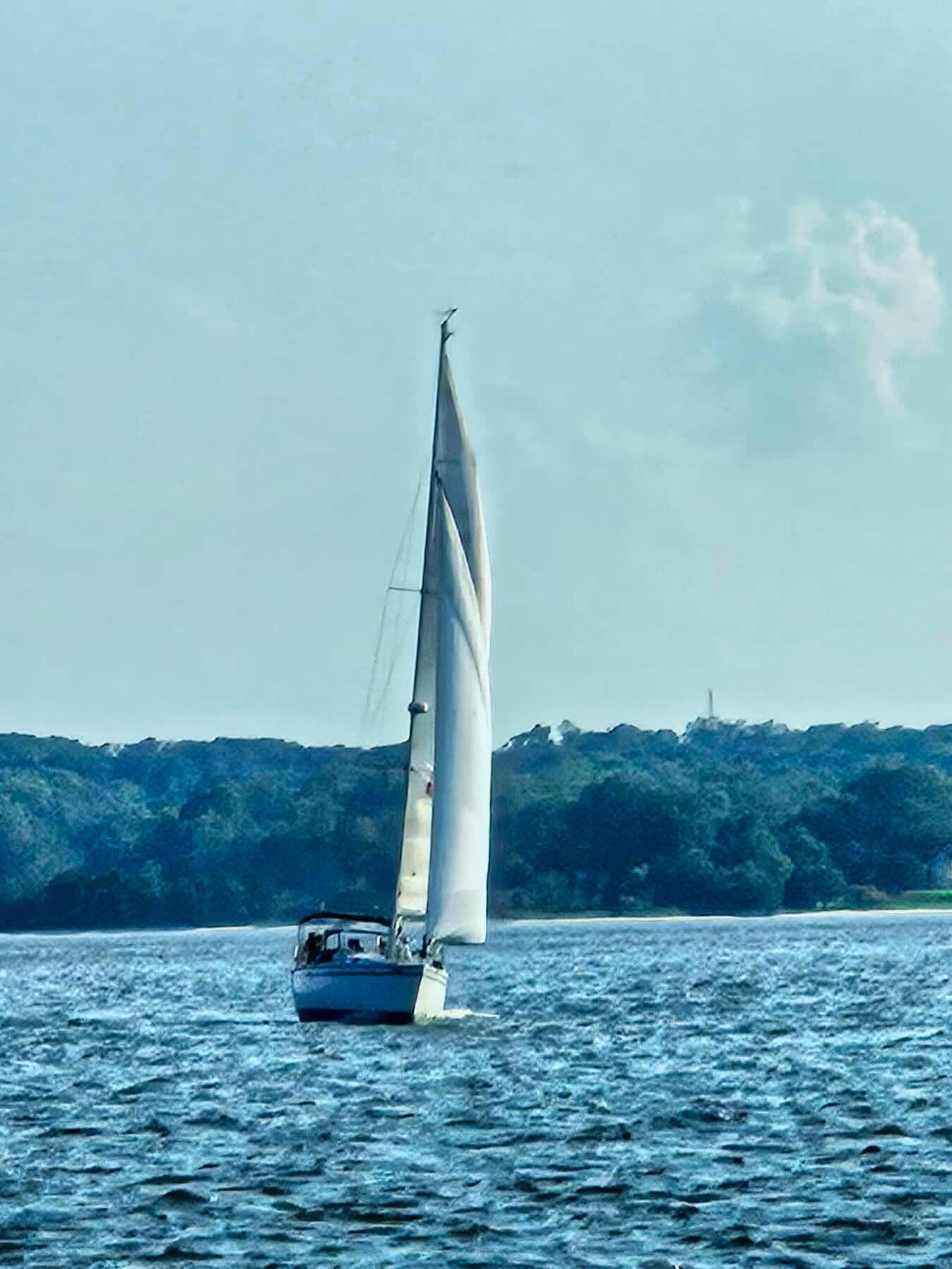  Beautiful Saturday Evening Sail_80EB19AC-0133-4ADB-8600-FDD897E29E76