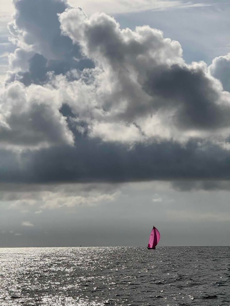Voyage photo from Rolex Middle Sea Race