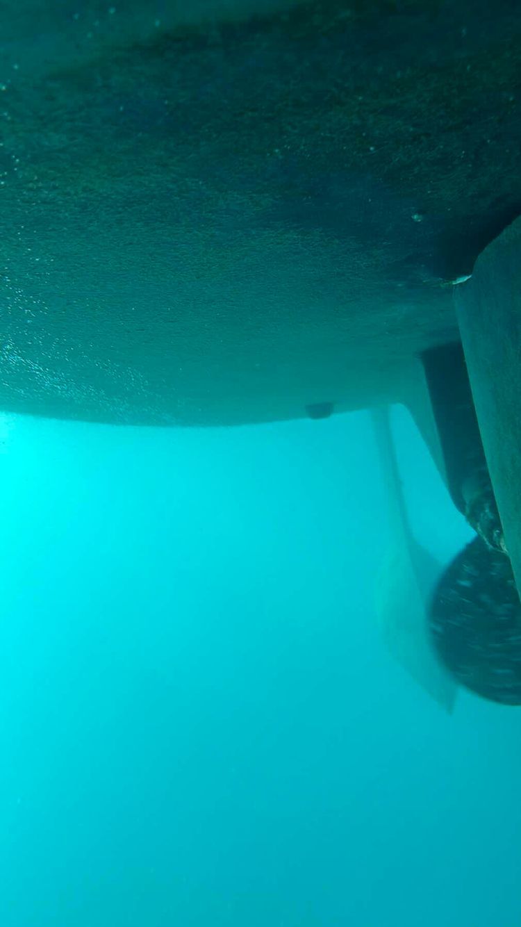 Voyage photo from Intro sailing session