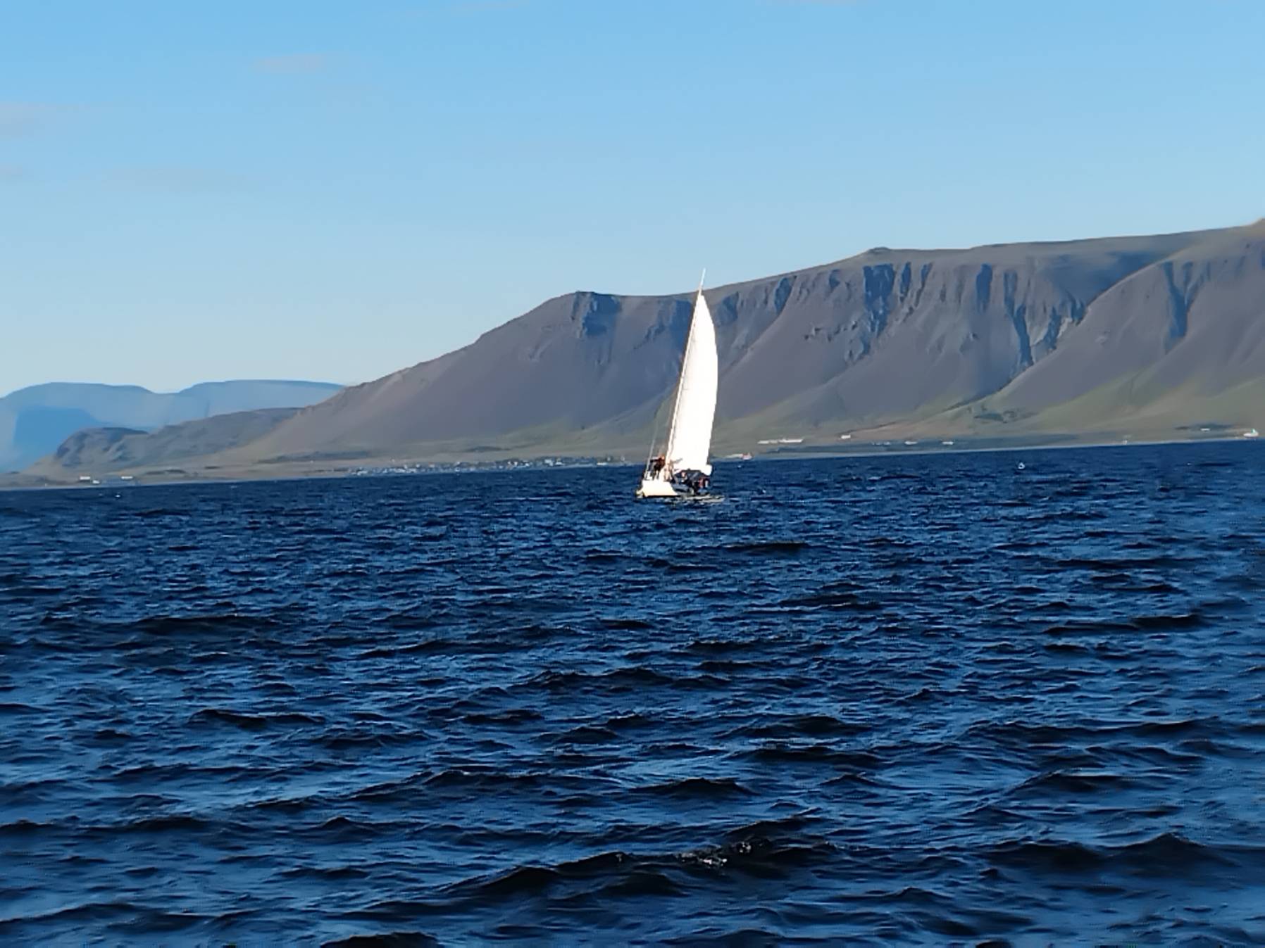 Sviss miss við Engeyjarrif_7959BD3F-E237-49C0-8EF2-76BFD9EA9BA7