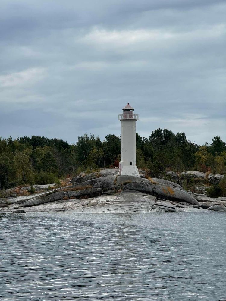 Voyage photo from Питер2Дубковая