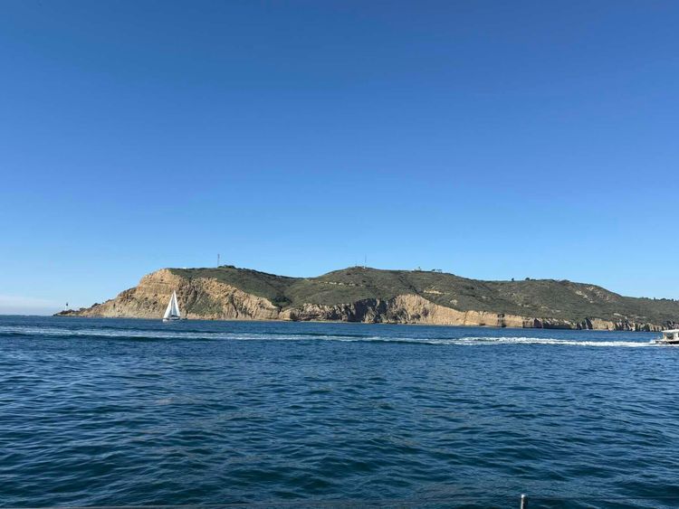 Voyage photo from San Diego to Cabo San Lucas