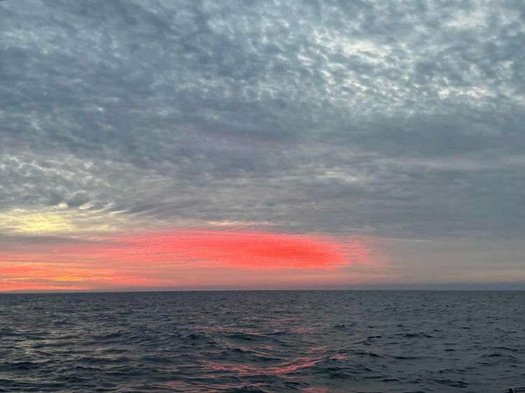 Voyage photo from San Diego to Cabo San Lucas