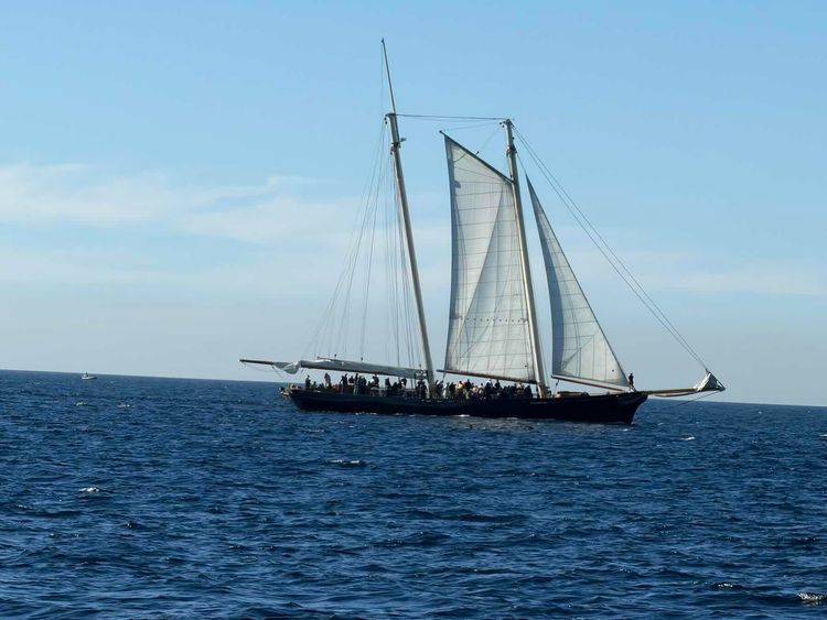 Voyage photo from San Diego to Cabo San Lucas