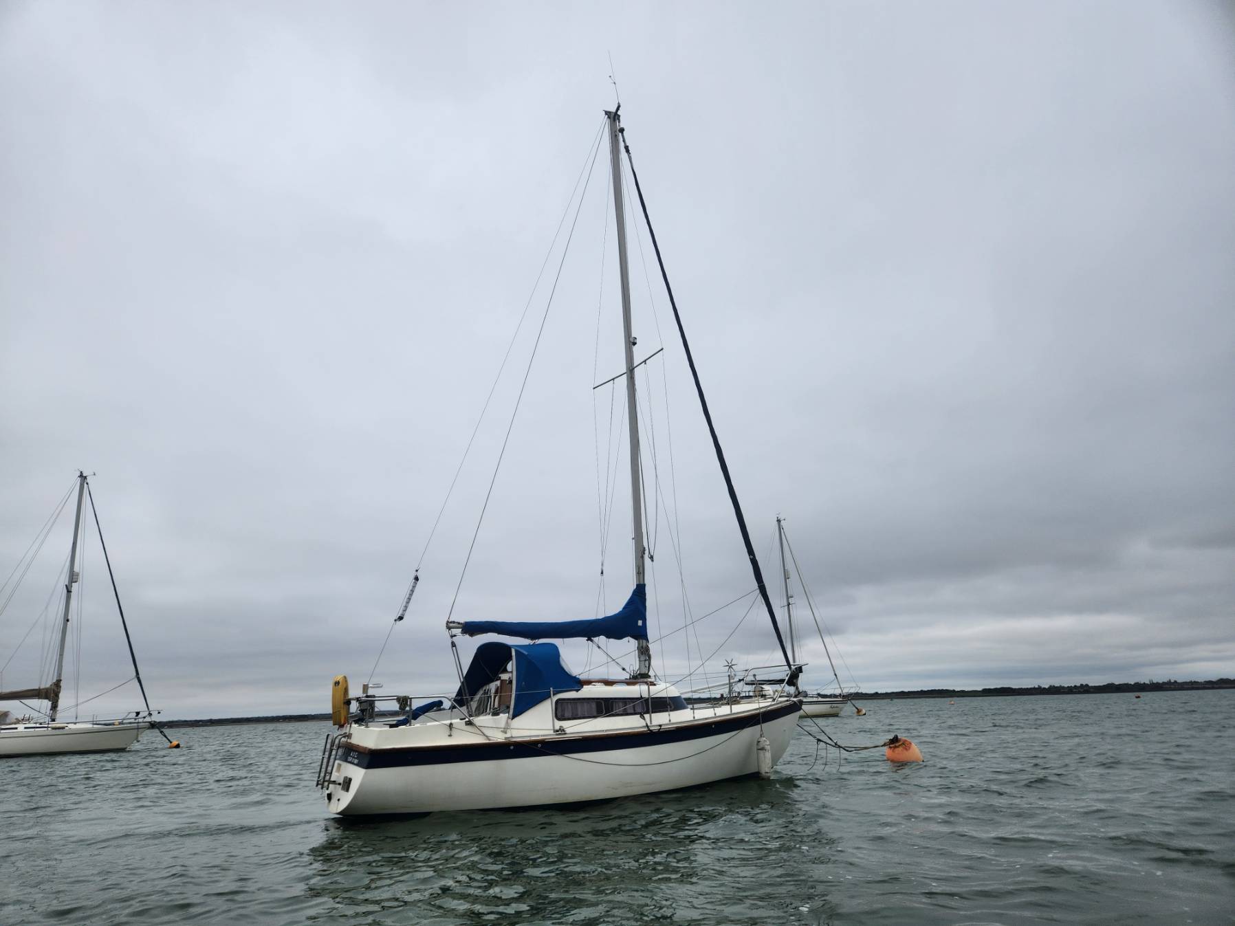 Final leg to Beaumaris' new home_BD7BAA98-D8CA-487C-8226-C0AD86373FAD