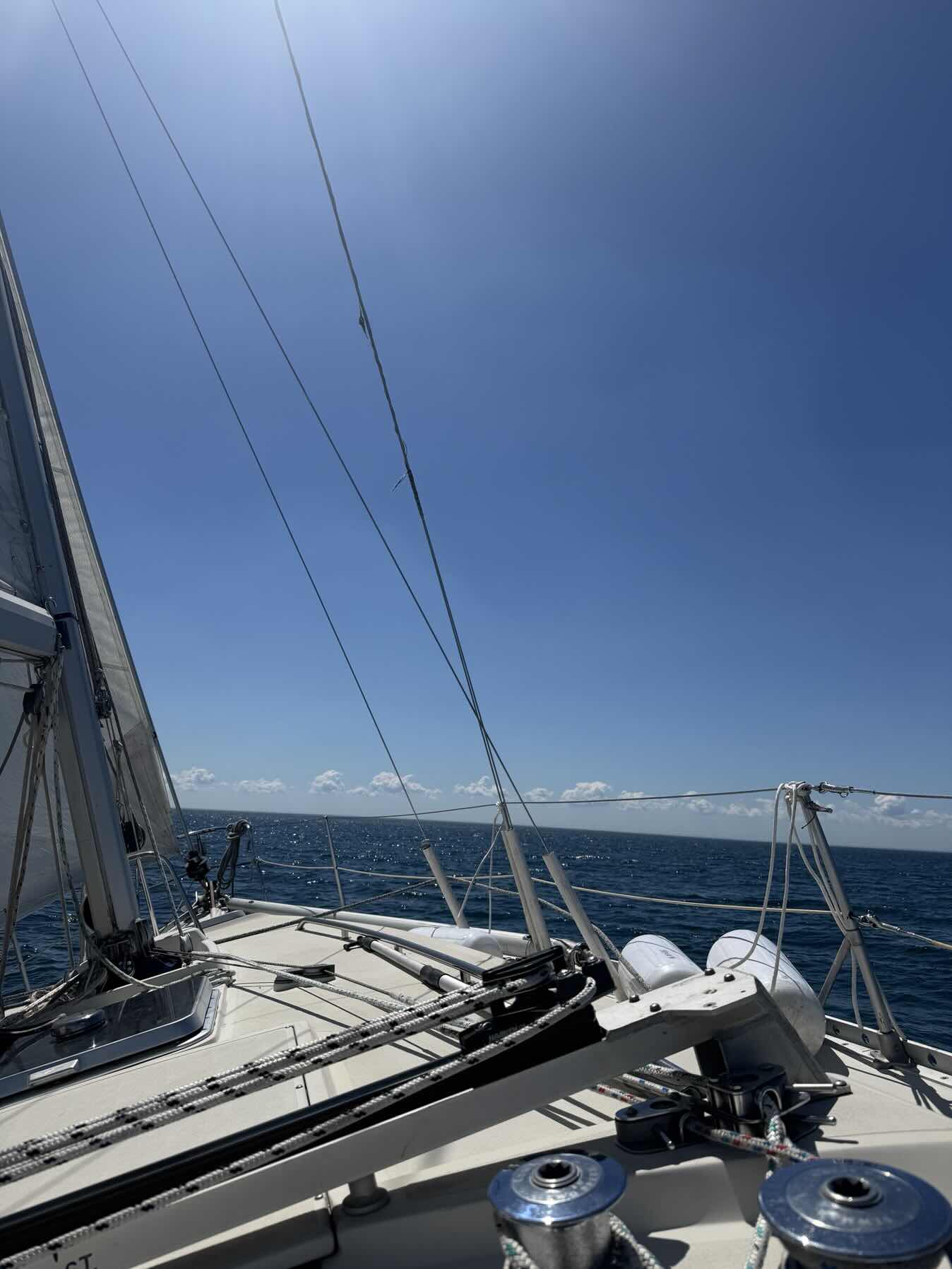 Luigi’s Voyage II_55222318-A4FD-48CB-9210-64253E23B59C