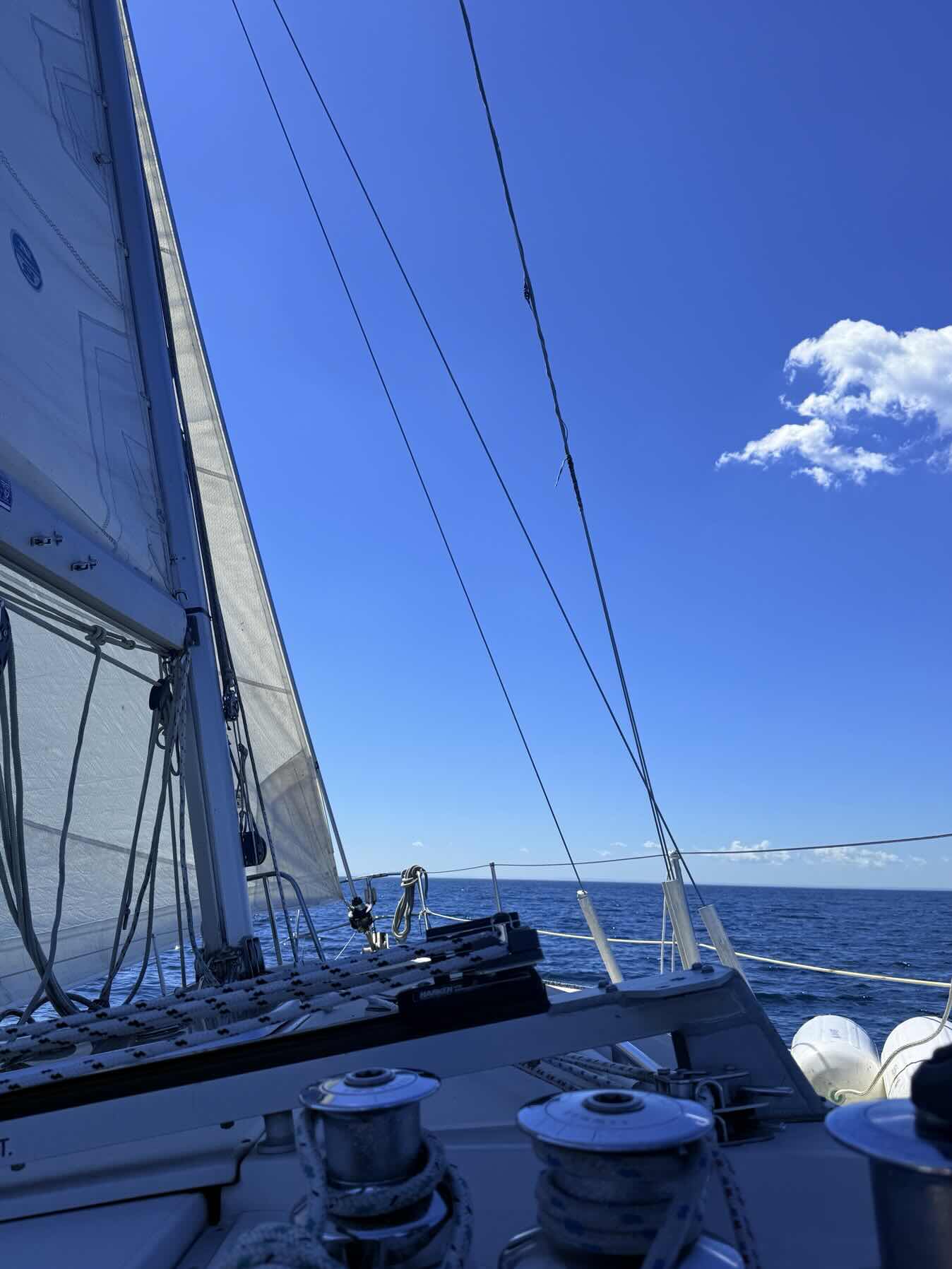 Luigi’s Voyage II_8EBD74E9-F11C-426E-A466-E9A0E3B47C81