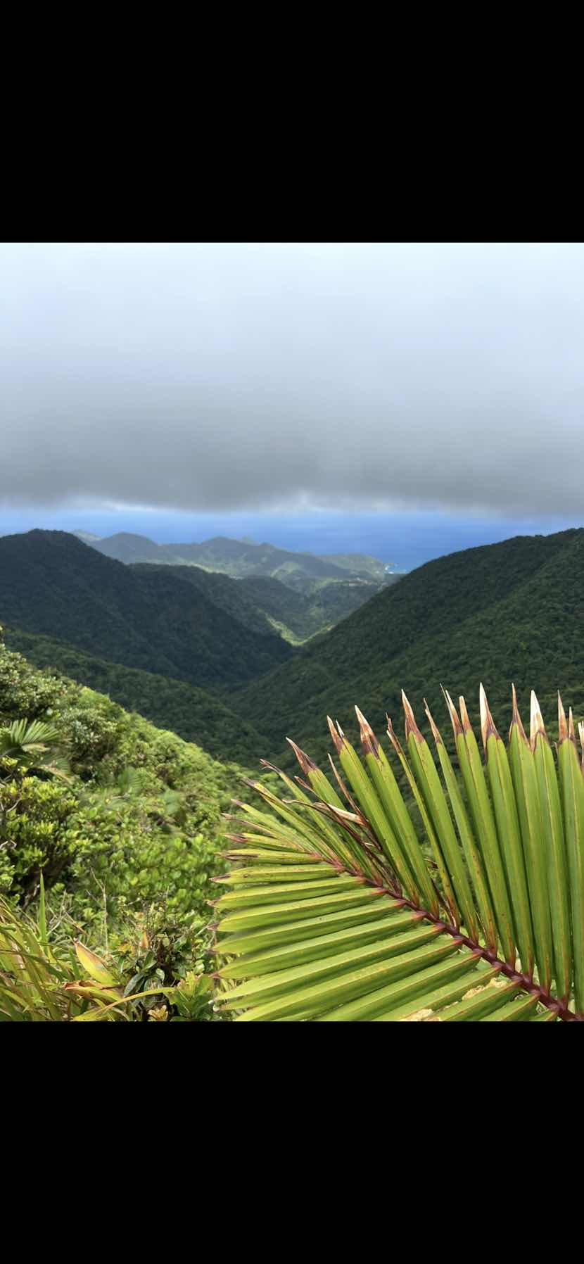 Guadeloupe to Dominica _0F1BB9EF-6EDA-4F1D-979F-A22F2ACBF411