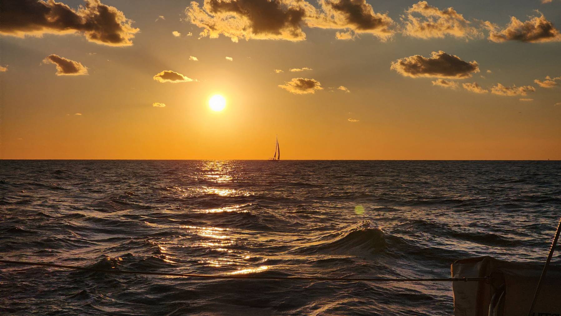 Harvest Moon Regatta 2025_C8464EB2-EDE3-40C7-A98A-85C488F51811