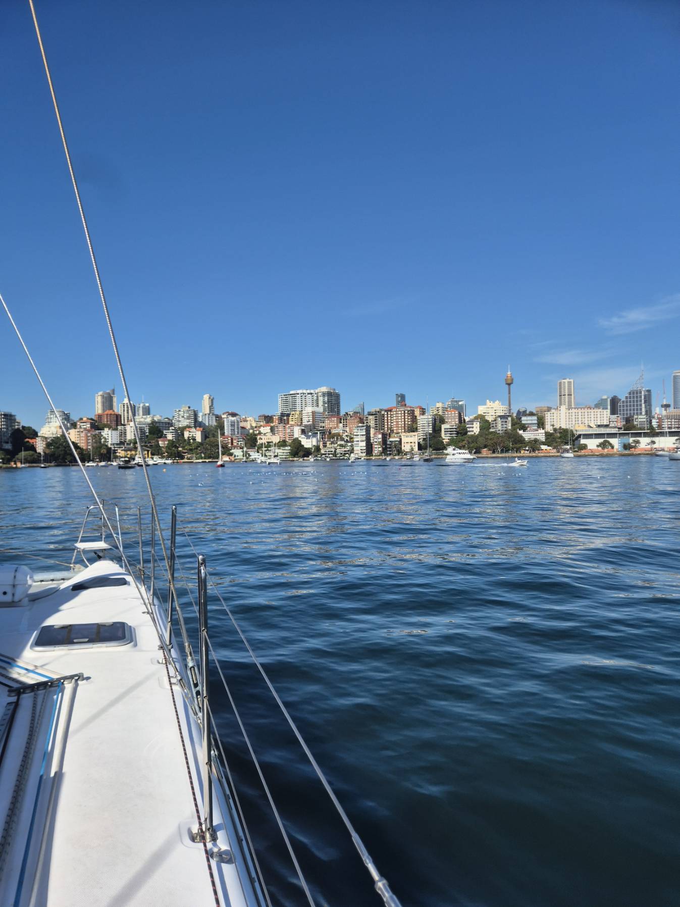 Rush cutter to Manly_E0AB27CA-248D-4B5E-98DC-C9BDCA238D28