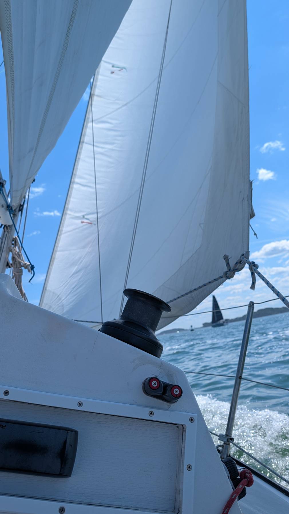 BSC August race!_37DD538E-F71A-47F4-9B5C-2E0F2C74A996