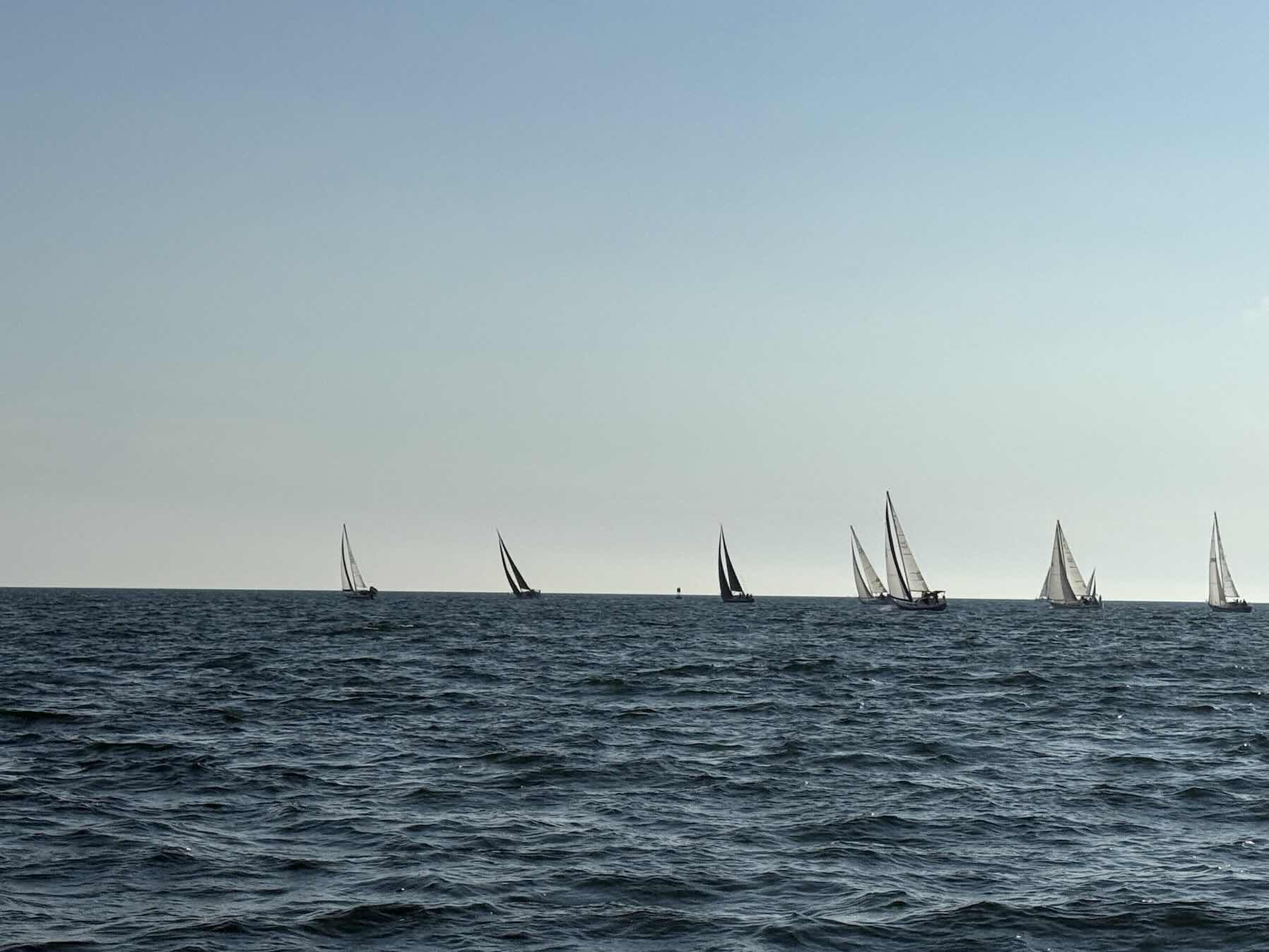 Last Mid Summer
Races. Mistakes!_26F545C6-8121-4596-9652-39E89BEAFD47