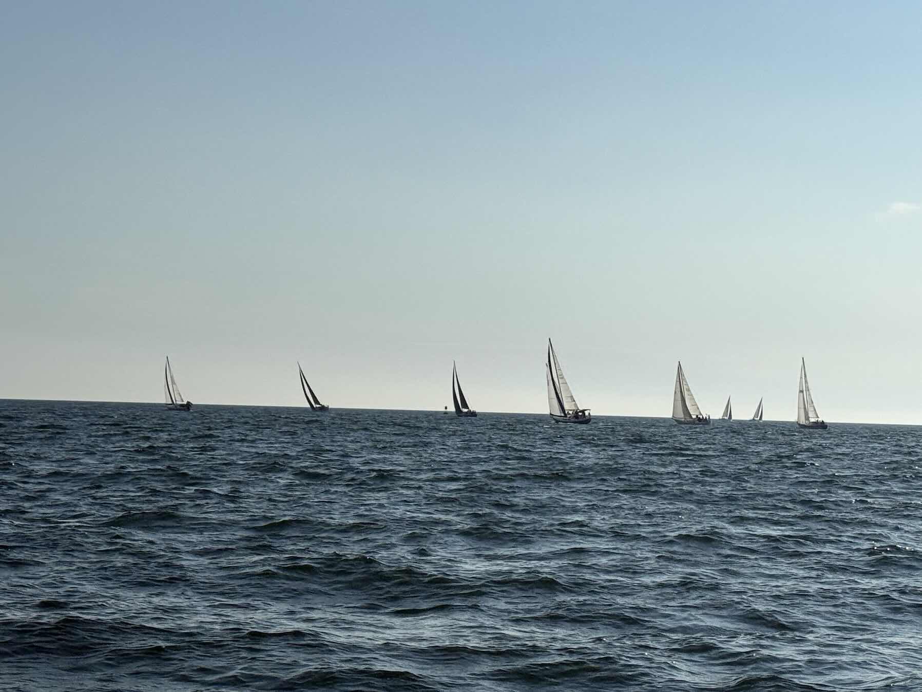 Last Mid Summer
Races. Mistakes!_8A90DEAE-8113-4FED-AF79-D72BA0467953