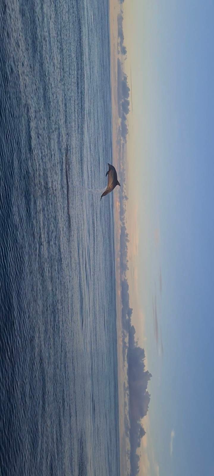 Voyage photo from 
