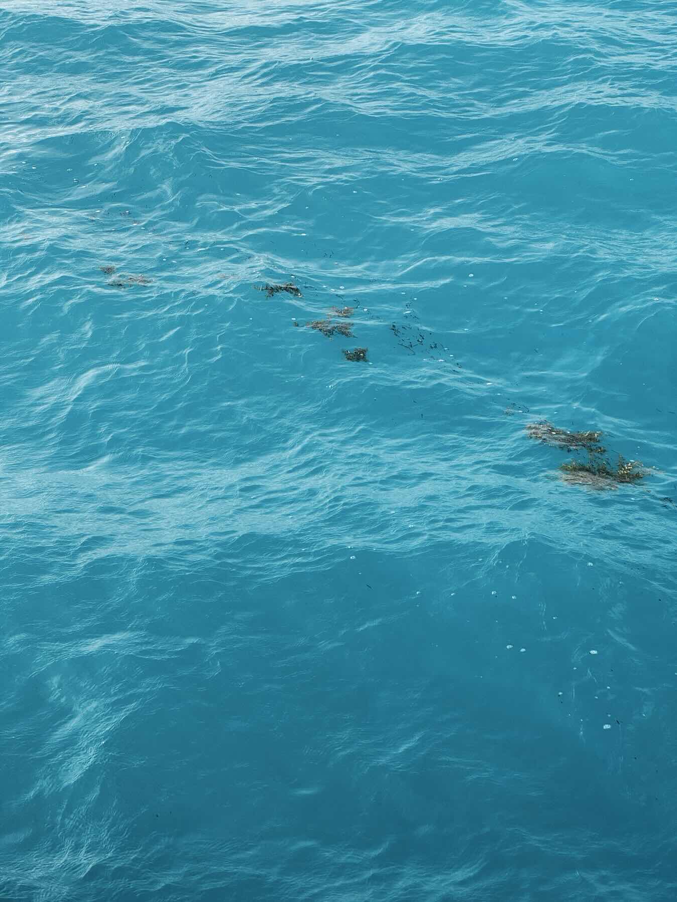 Voyage_2F8974CF-F390-4982-8912-66D73F8F172B