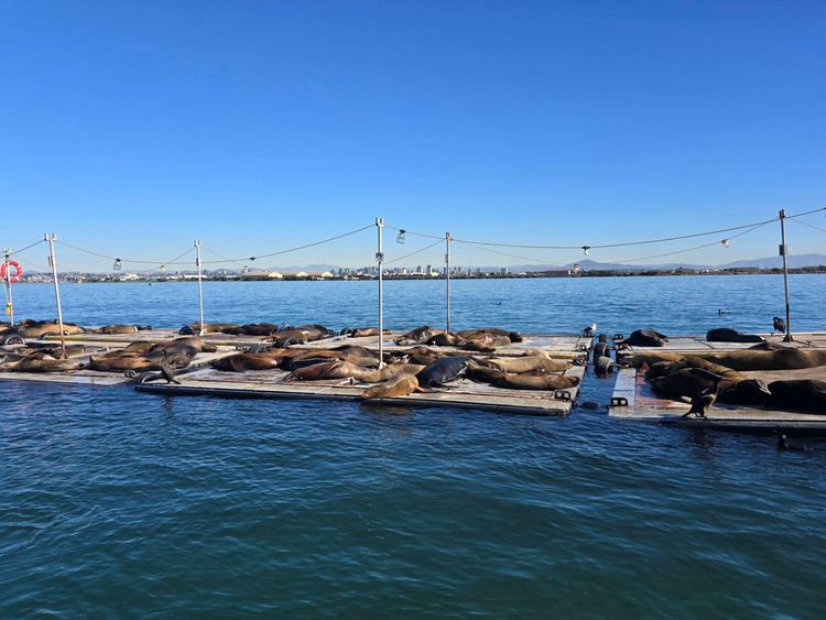 Voyage photo from emb with Amy on 699