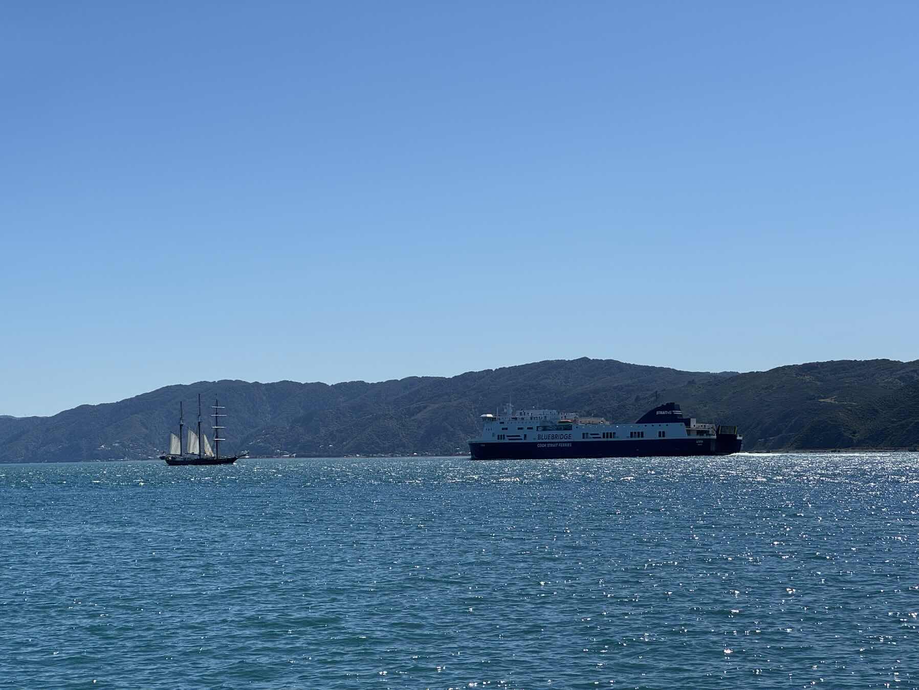 Cook Strait Return_4CD590FD-332A-45FC-814A-14C5EFF641EA