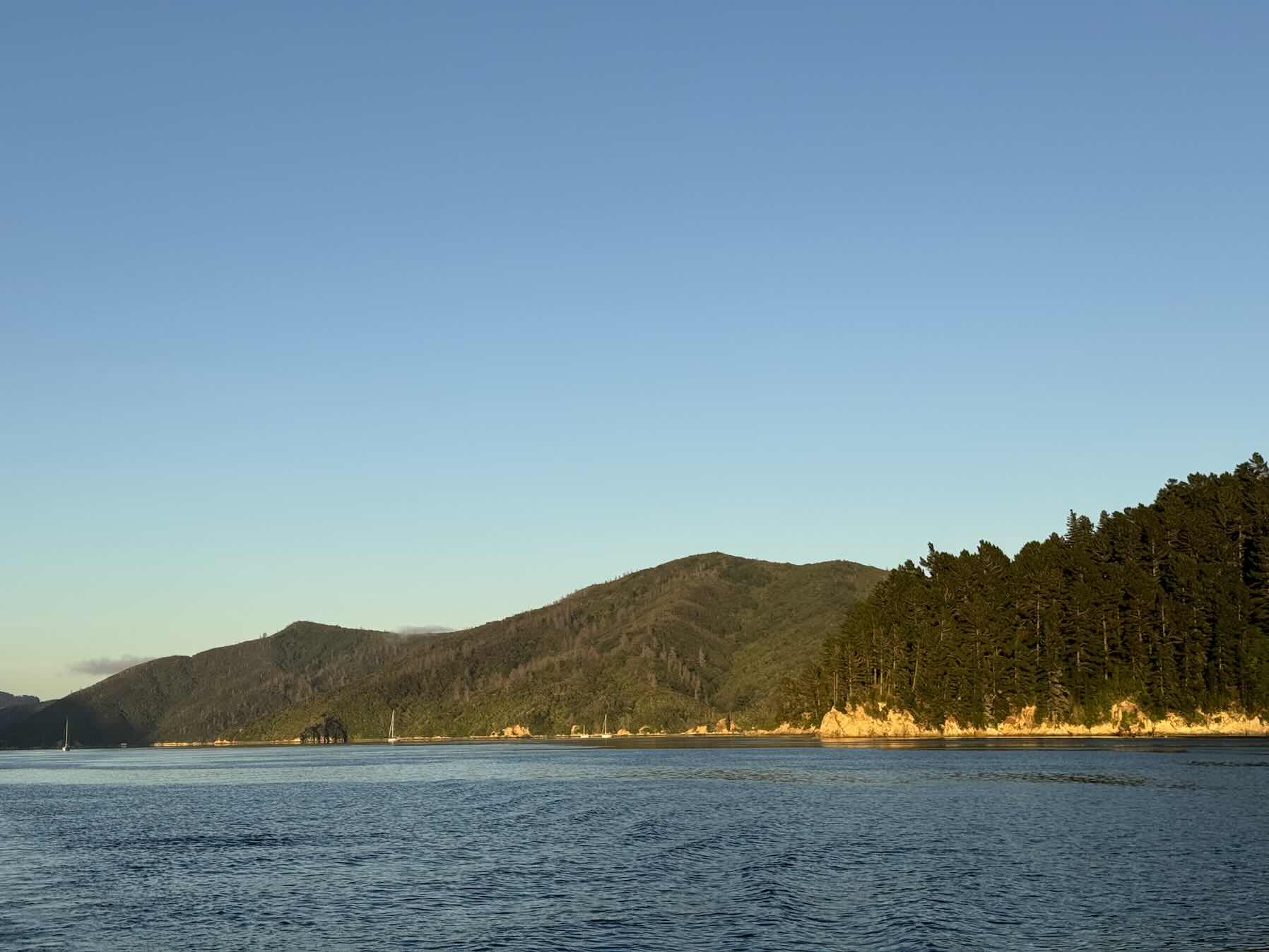 Cook Strait Return_EC889C04-20C6-4A21-8357-EF41FE885D7C