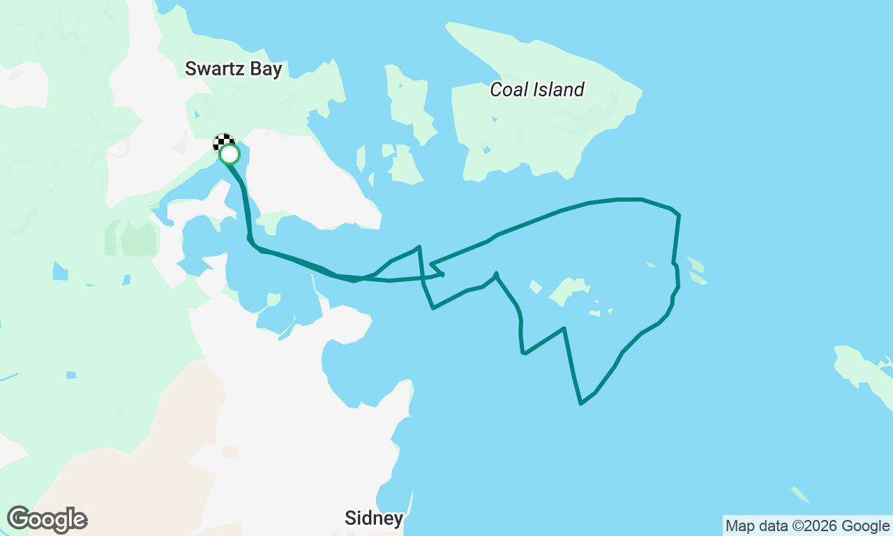 Saturday Sail