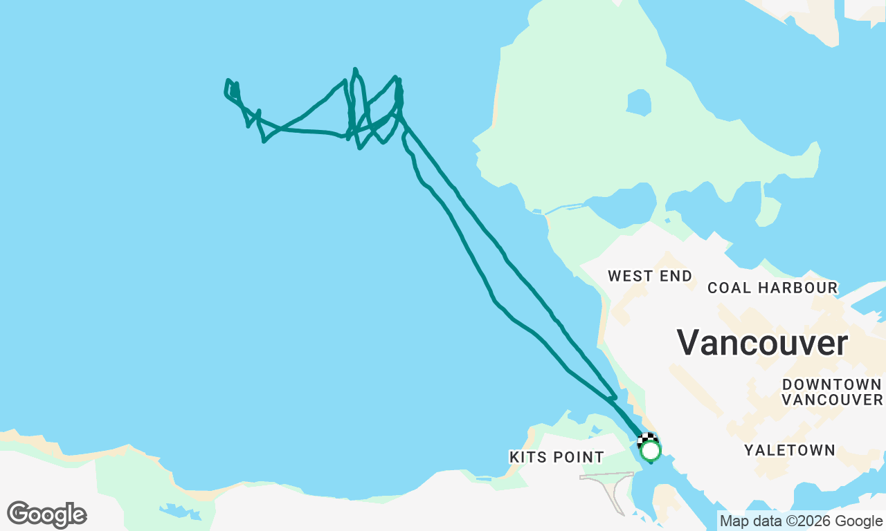 VRC polar bear
