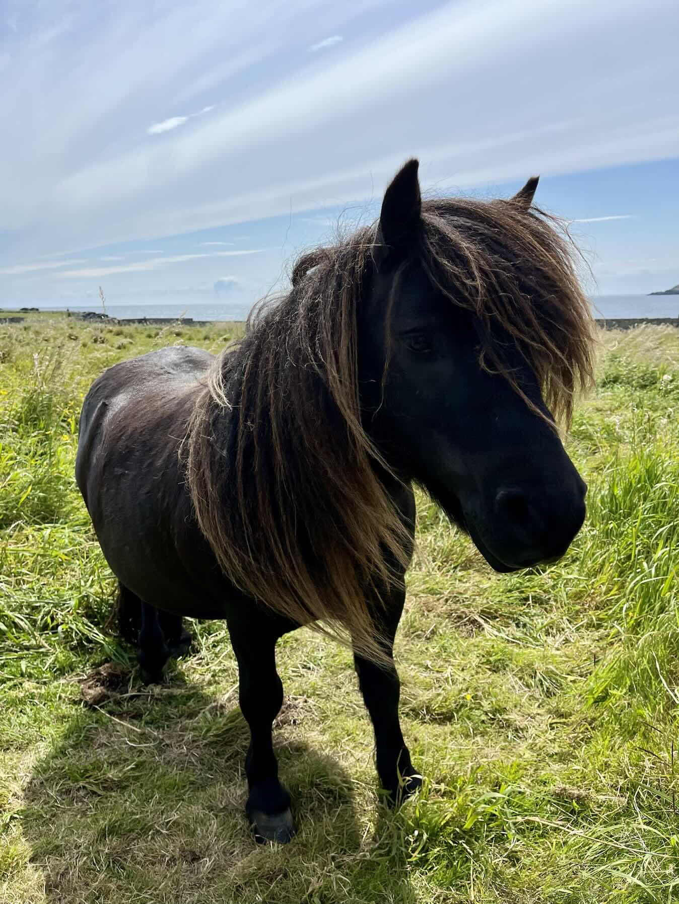 Shetland to Norway _451DAB17-4405-4CDC-8C32-1FF2C95BD53B