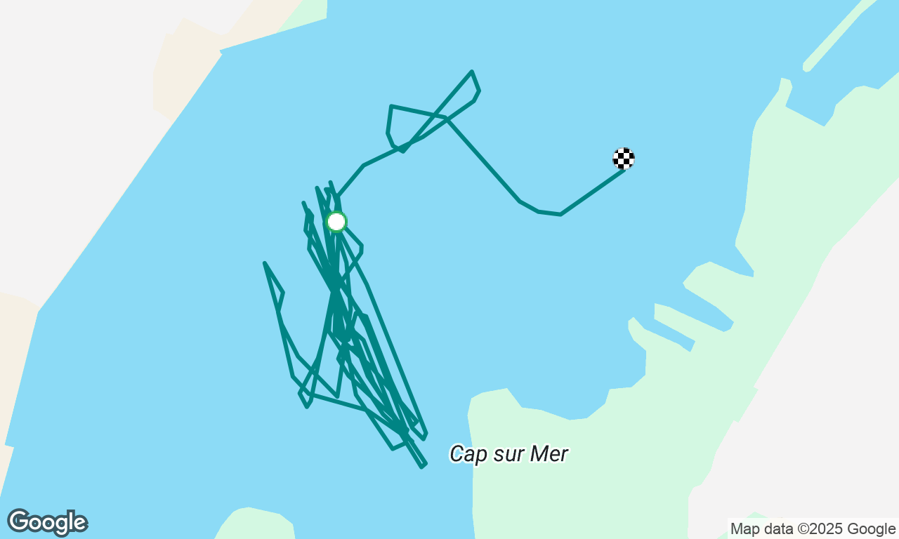 Sortie niveau 1 | Ohana Sailing