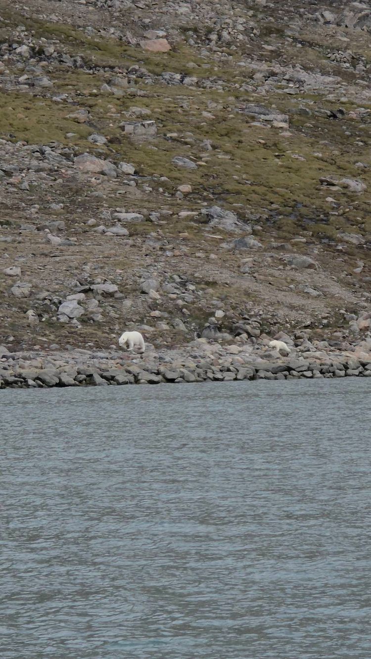 Voyage photo from S/V Ruach Love - Buffin Island's Expedition 1°