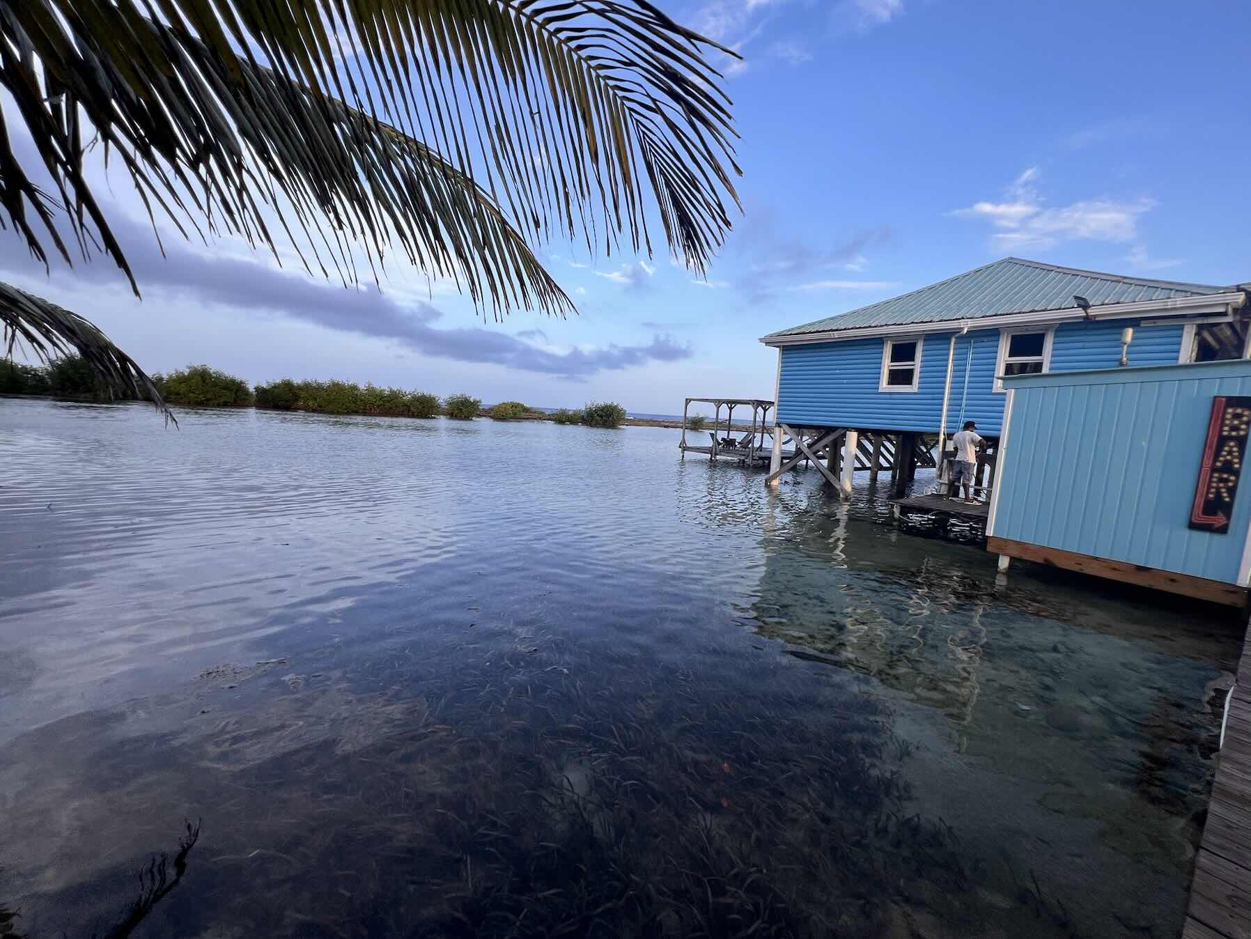 Placencia to Tobacco Caye_A94A4D22-7759-463F-88DC-91E3B05982C7