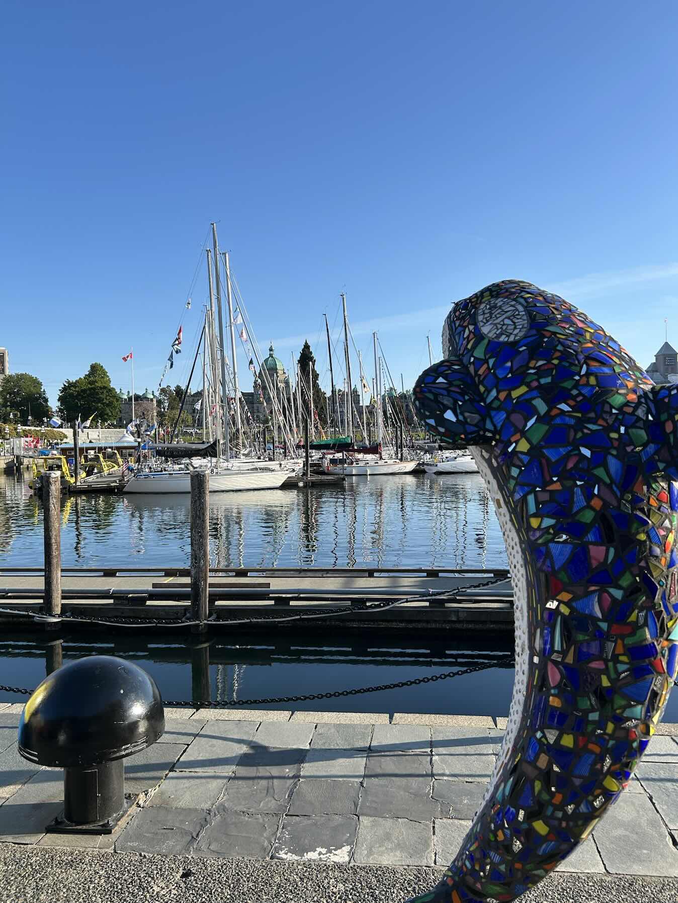 Swiftsure 2026 on Bardo: Delivery Day 2_0B341087-88DD-455C-B740-9D85CCF7F006