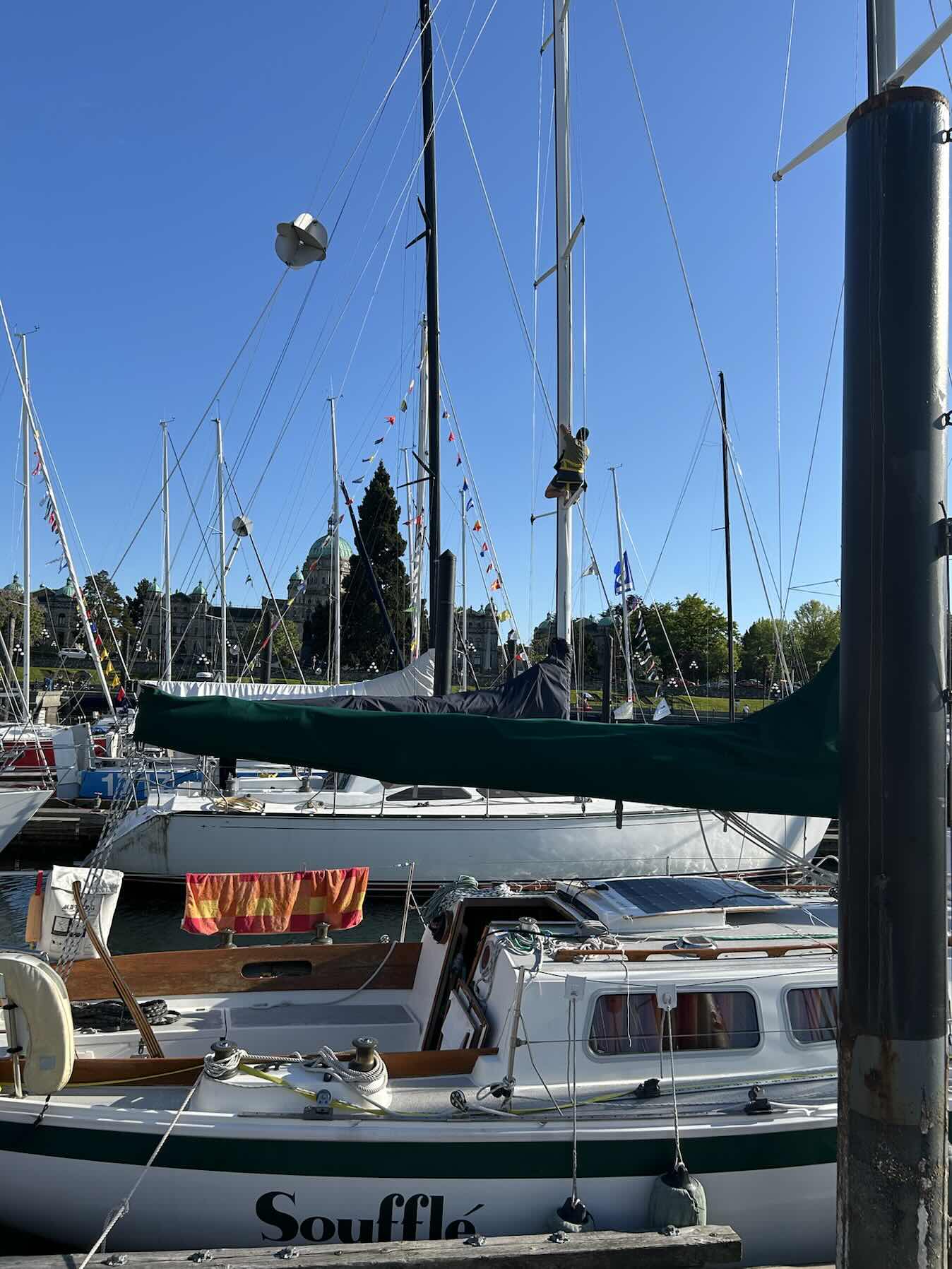Swiftsure 2026 on Bardo: Delivery Day 2_3228F9F2-0FFB-47EA-9544-4E71DC2DD80B